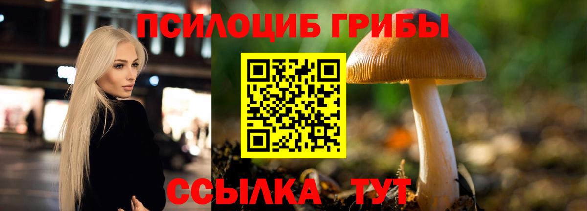 купить наркотики цена  Галлюциногенные грибы Psilocybine cubensis  Вход с VPN  Псилоцибиновые грибы GOLDEN TEACHER  Екатеринбург 